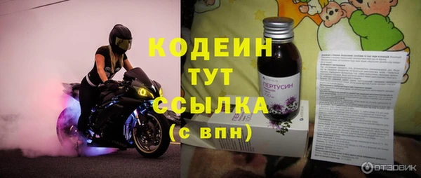 спиды Богородицк