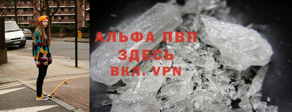 ГАЛЛЮЦИНОГЕННЫЕ ГРИБЫ Белокуриха