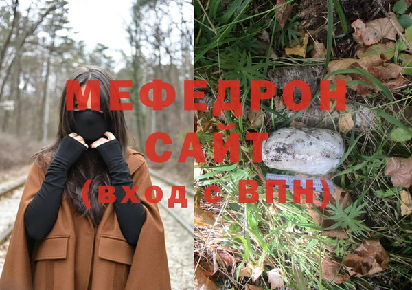 спиды Богородицк