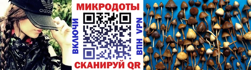 Галлюциногенные грибы мицелий  Белоярский 